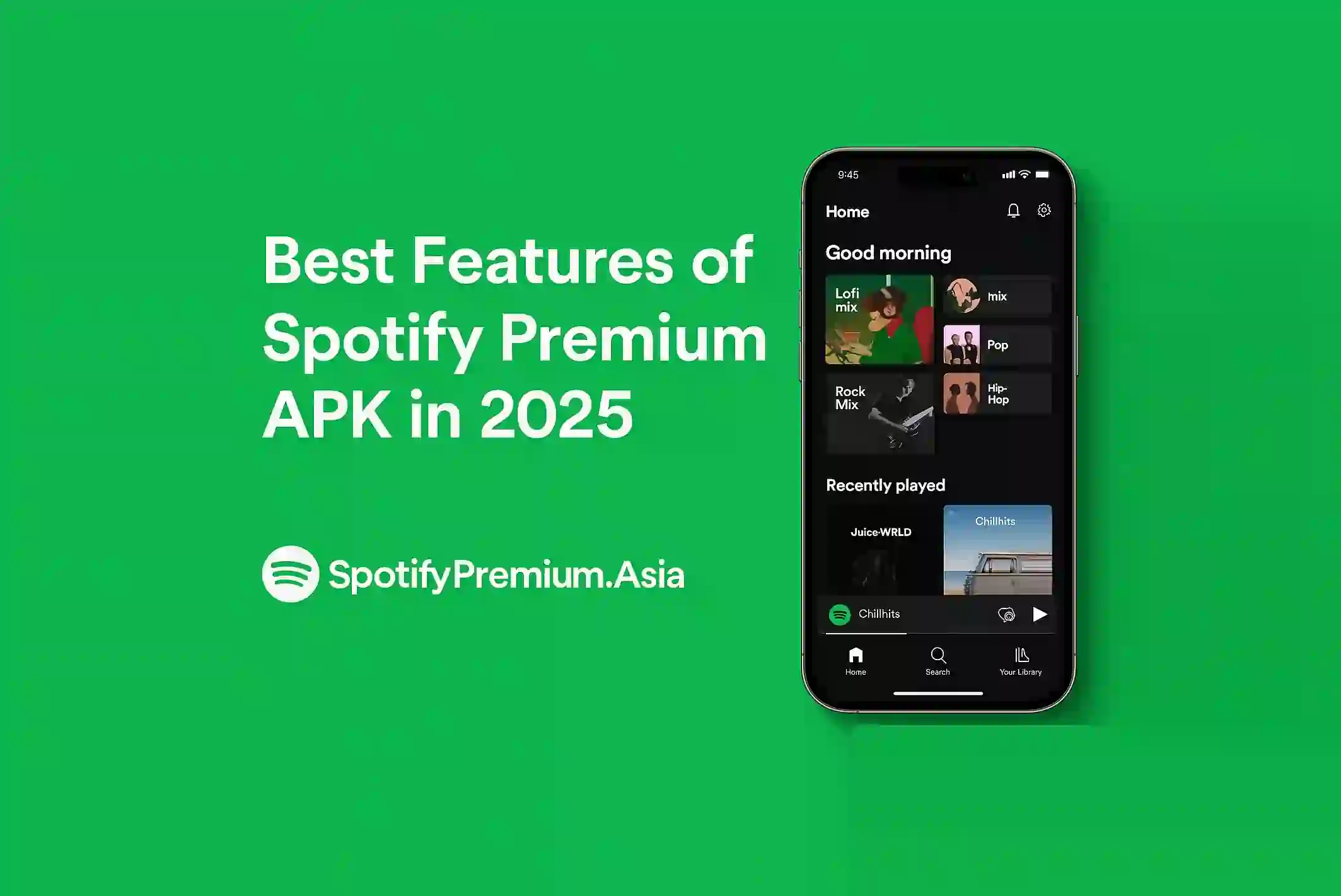 Best Features of Spotify Premium APK in 2025